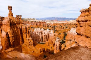 Bryce Hoodoo